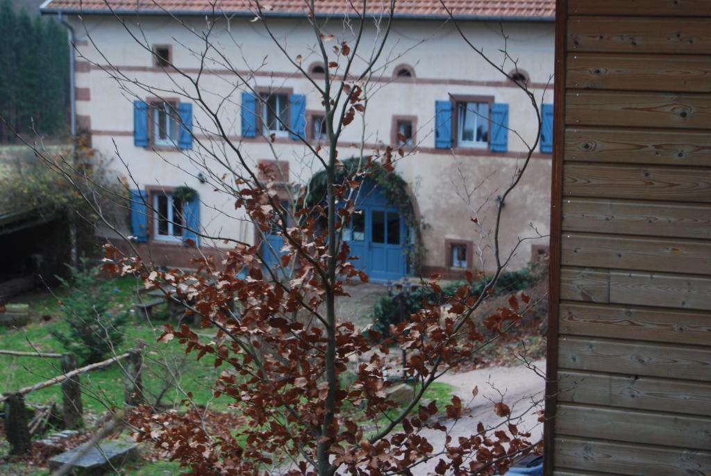 מלון Cheniménil Auberge Du Ruxelier מראה חיצוני תמונה